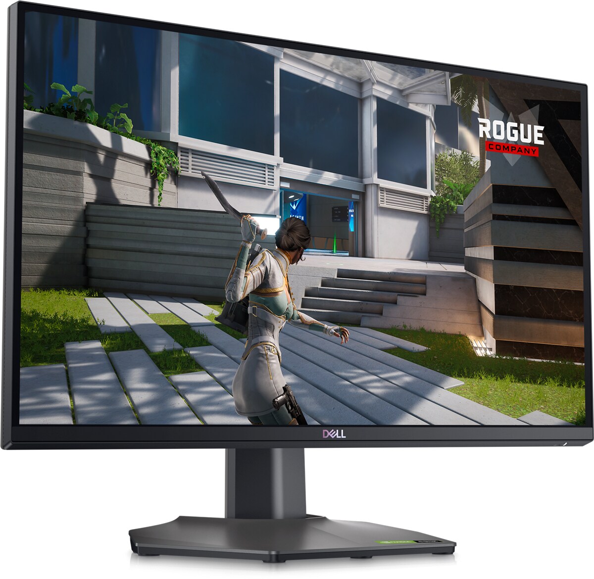Dell G2524H