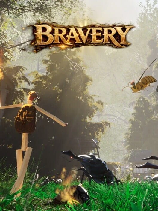 Couverture de Bravery