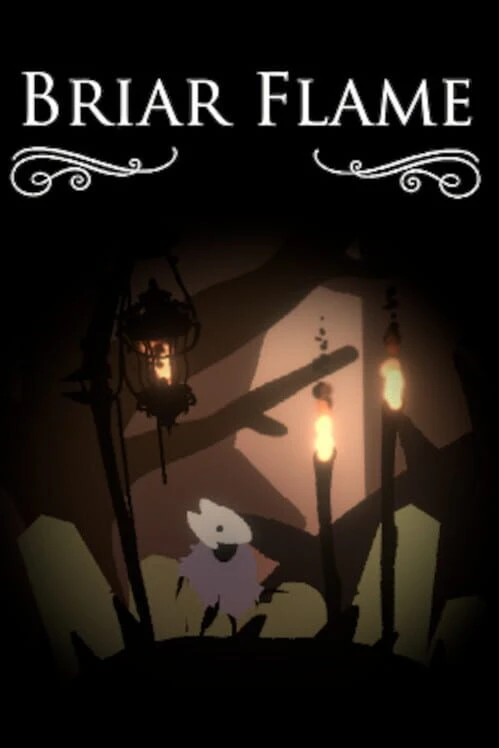 Couverture de Briar Flame