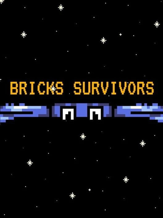 Couverture de Bricks Survivors