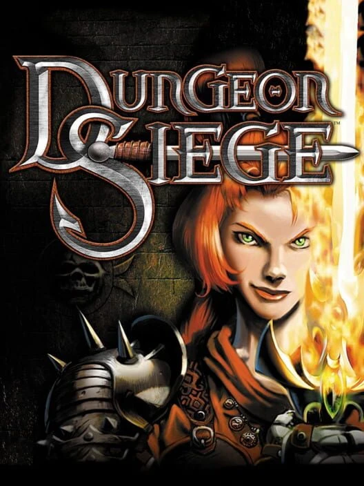 Couverture de Dungeon Siege