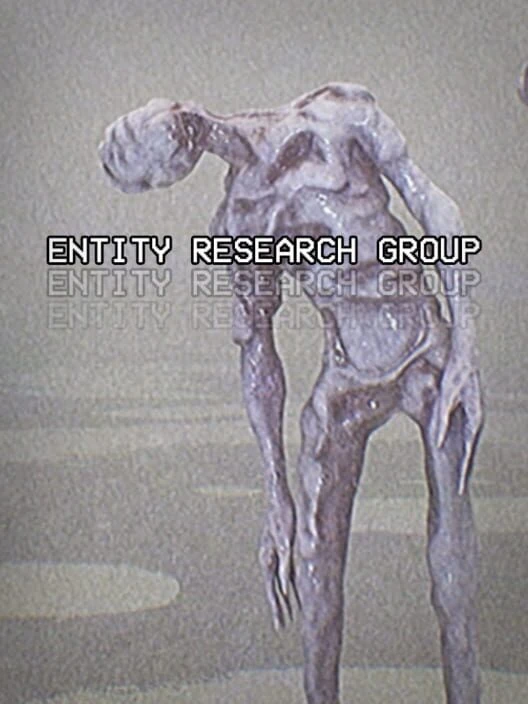 Couverture de Entity Research Group