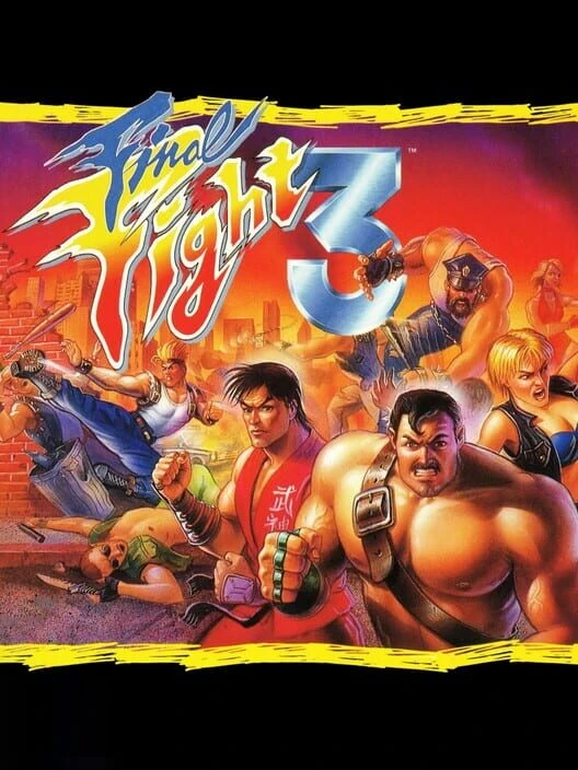Couverture de Final Fight 3