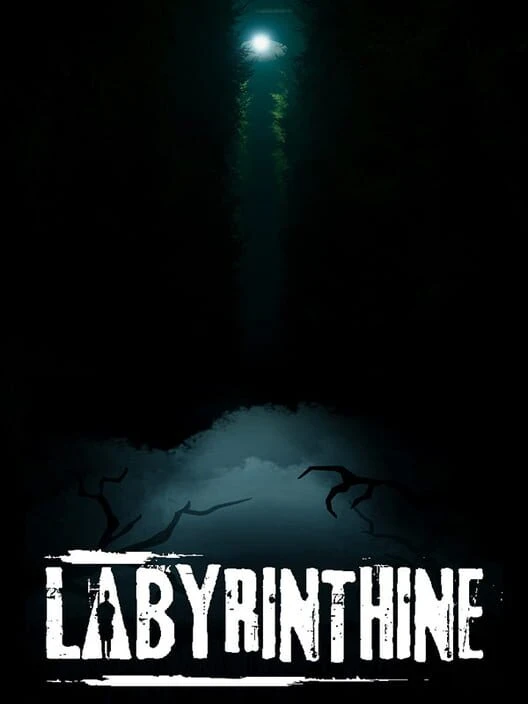 Couverture de Labyrinthine