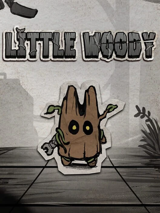 Couverture de Little Woody