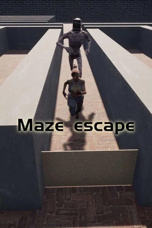 Couverture de Maze Escape