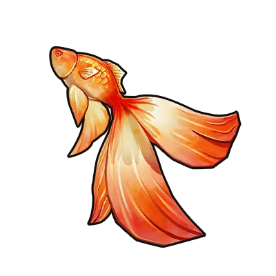 Betta