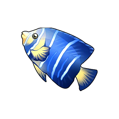 Poisson-ange à rayures bleues