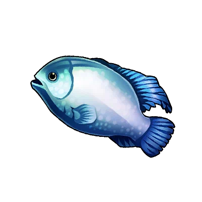 Poisson-ange à face bleue