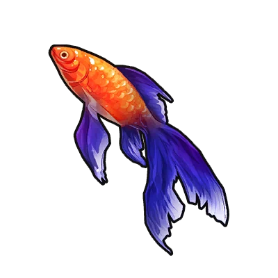 Poisson rouge calico