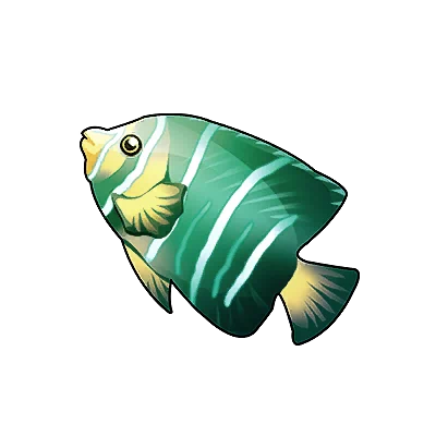 Poisson-ange à rayures vertes
