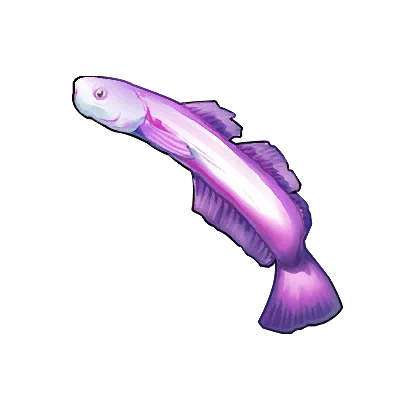 Poisson tête de baleine indigo