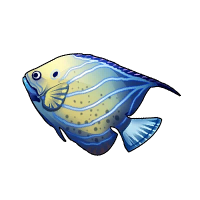 Poisson-ange royal