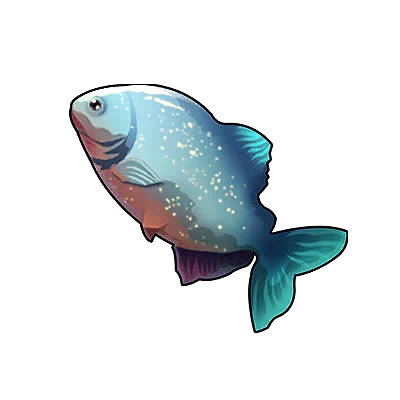 Piranha à ventre rouge