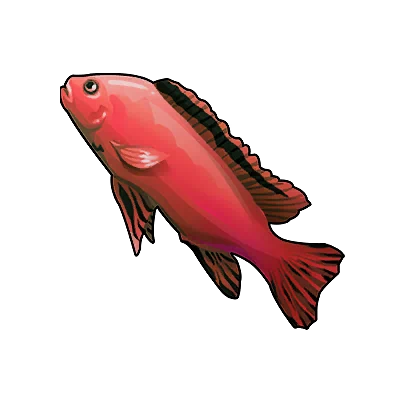 Chirurgien rouge