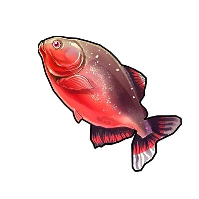 Barbus rosé
