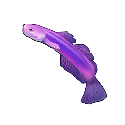 Poisson tête de baleine