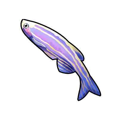 Poisson zèbre