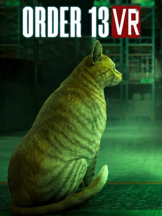 Couverture de Order 13 VR