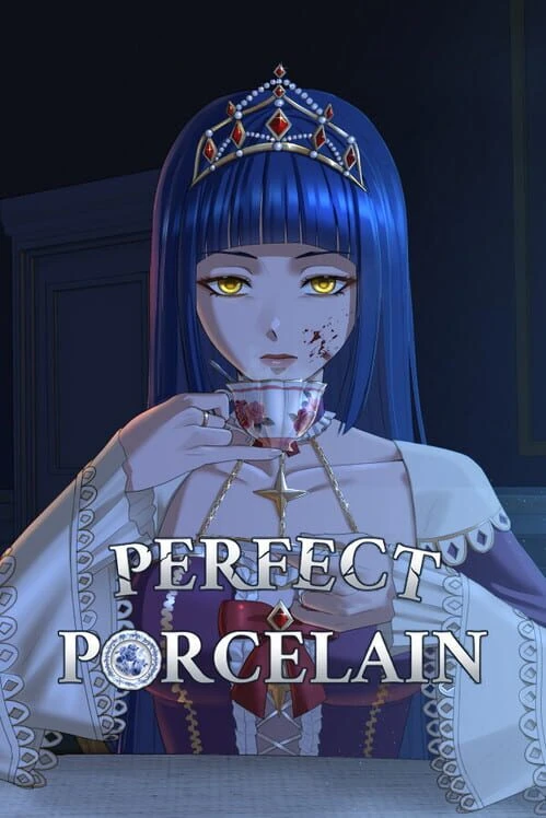 Couverture de Perfect Porcelain