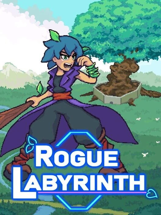 Couverture de Rogue Labyrinth