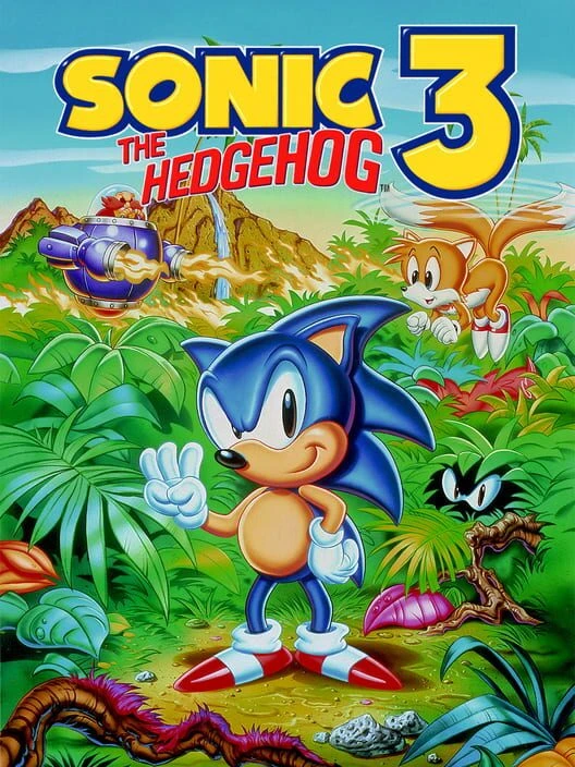 Couverture de Sonic the Hedgehog 3