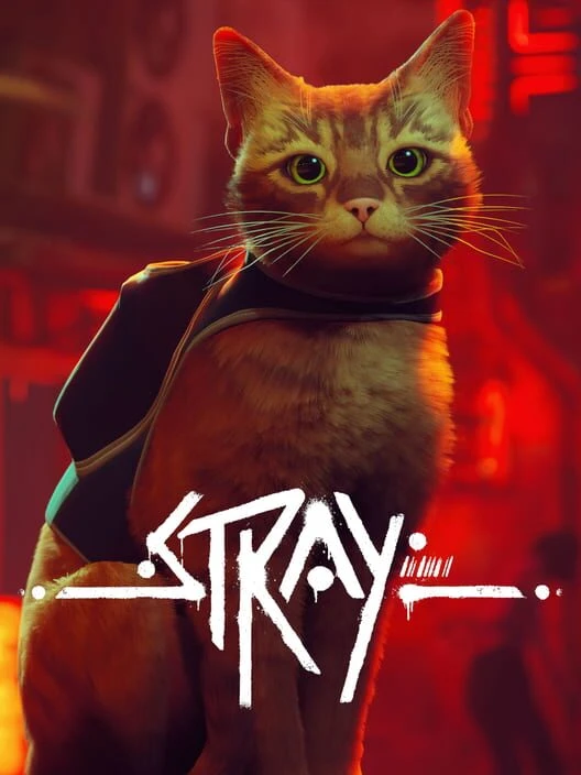 Couverture de Stray