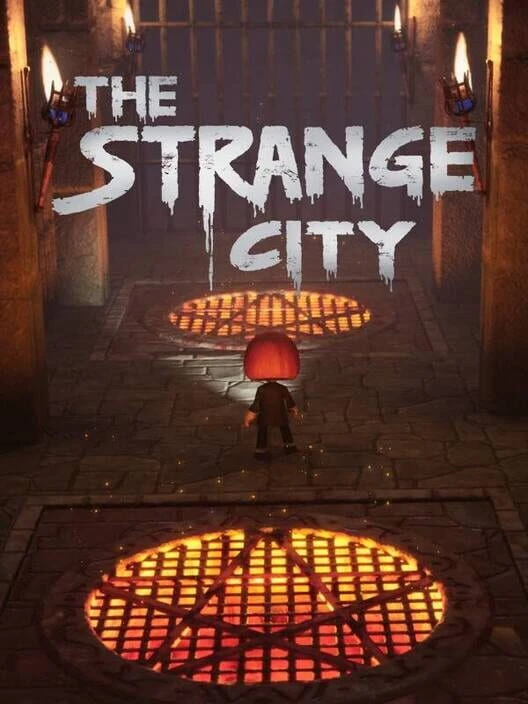 Couverture de The Strange City