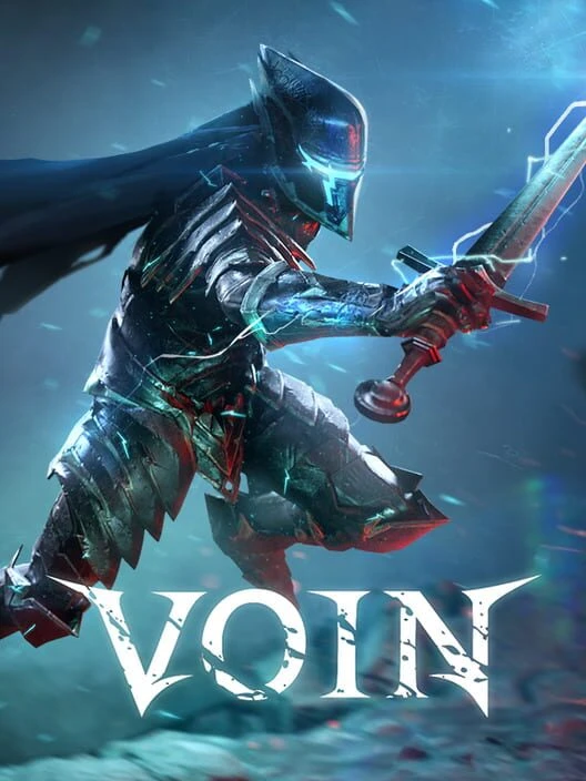 Couverture de Voin