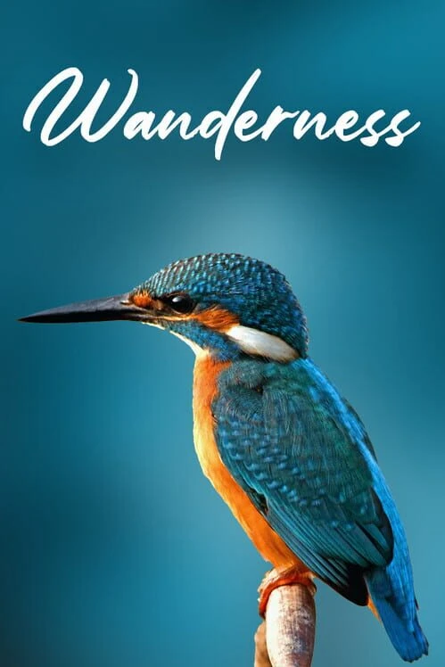 Couverture de Wanderness
