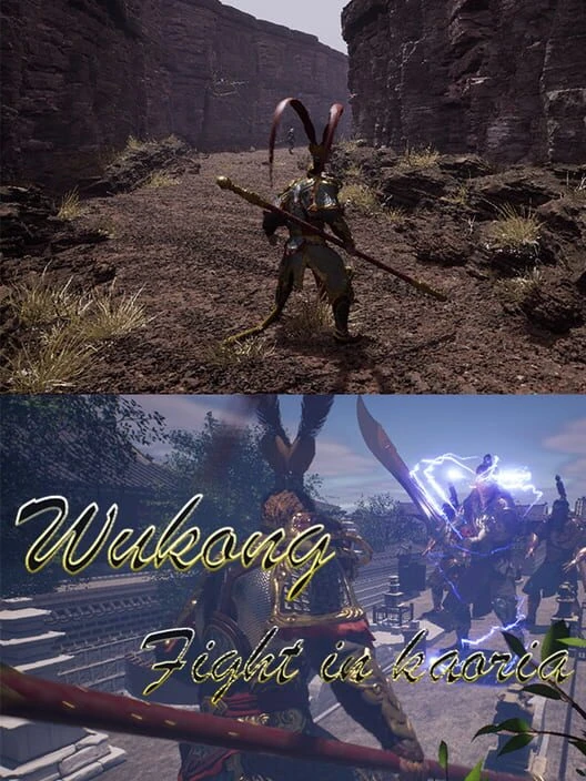 Couverture de Wukong Fight in Kaoria